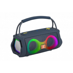 wireless speaker (ET-313)